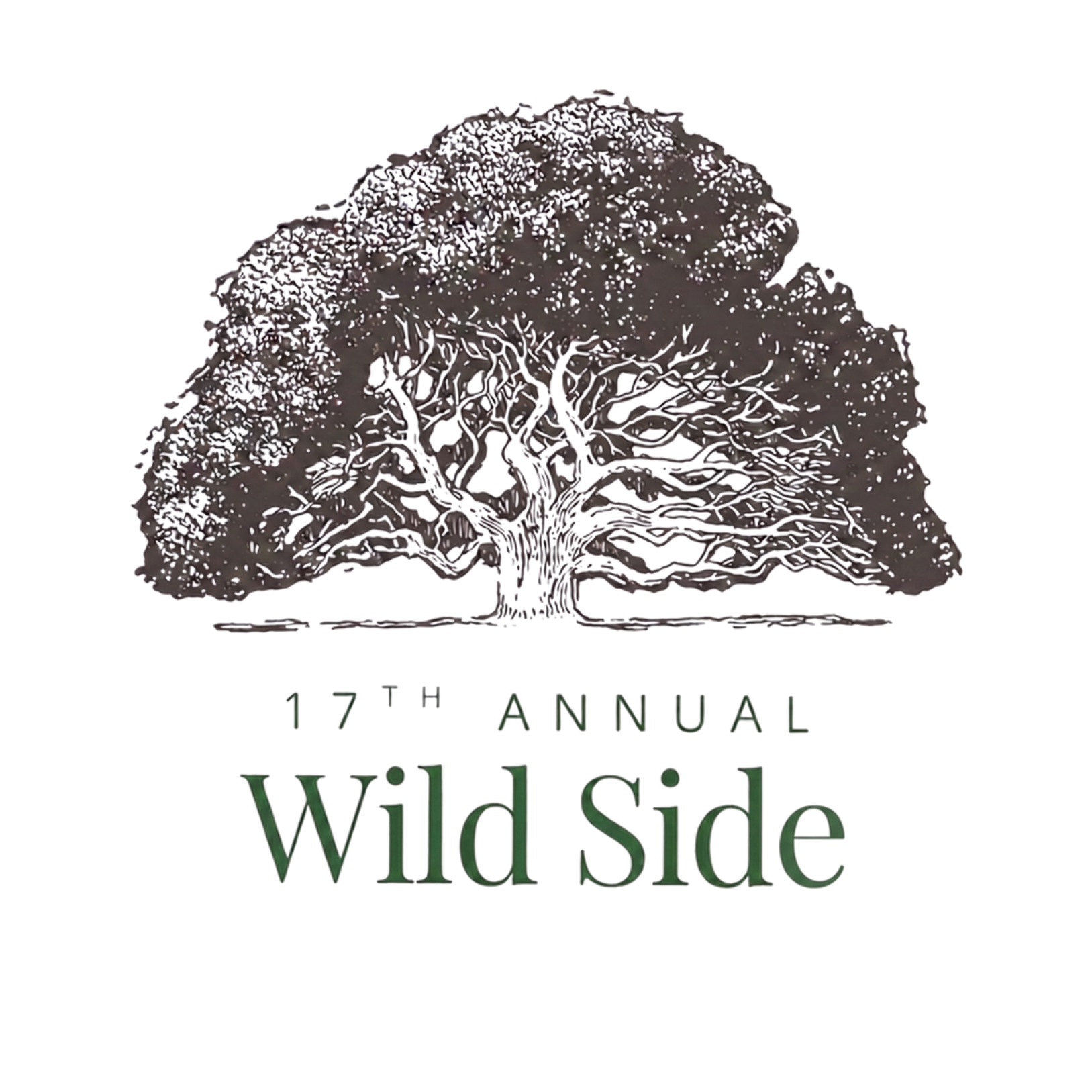 Wild Side 2026 - logo